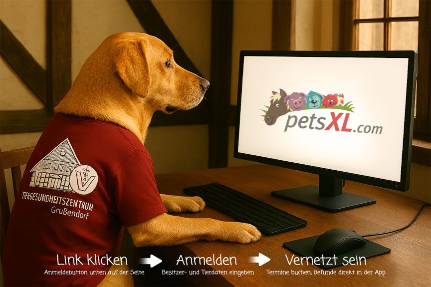 Online anmelden über petsXL