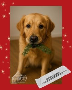 Hund mit Tannenzweig