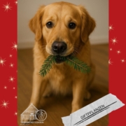 Hund mit Tannenzweig