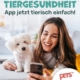PetsXL Service für Tierhalter